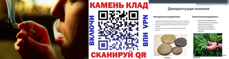 Купить закладку Alpha PVP  Меф  Кокаин  Павловск