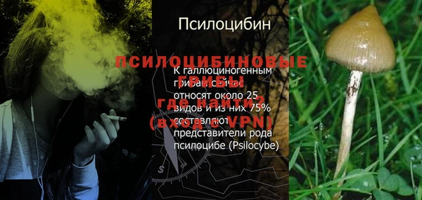 2c-b Белокуриха