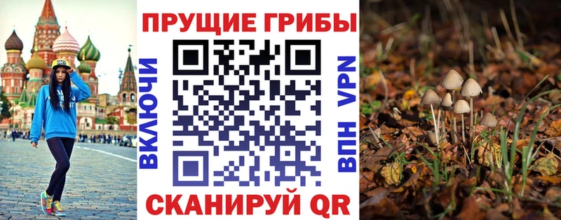 Купить где  Павловск  Псилоцибиновые грибы Magic Shrooms 